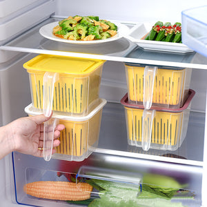 Refrigerator Double-layer Fruit And Vegetable Food Storage Container