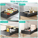 Pull Out Cabinet Organizer